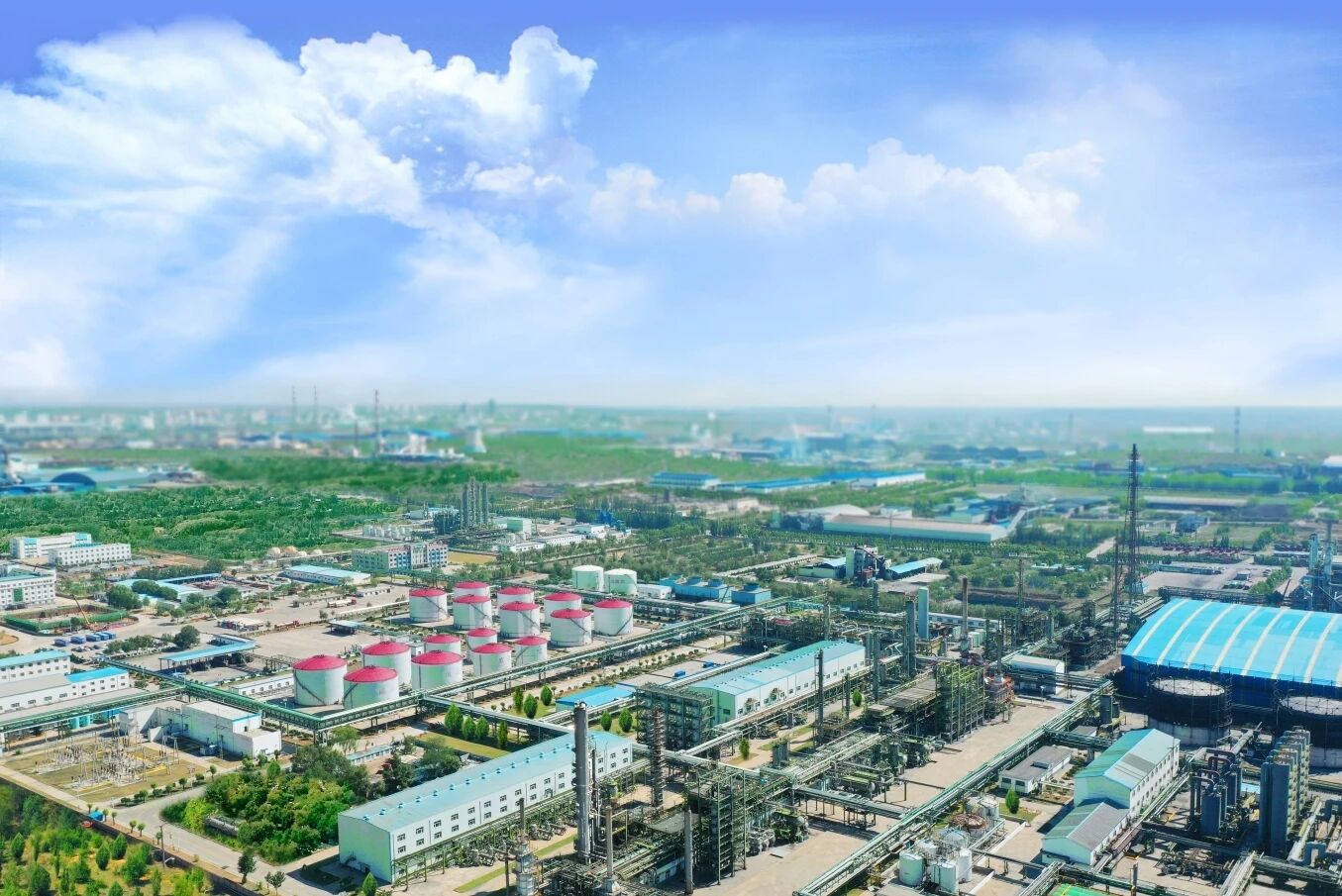 211768958947209178.jpg 微信圖片_2026-01-21_091635_851.jpg