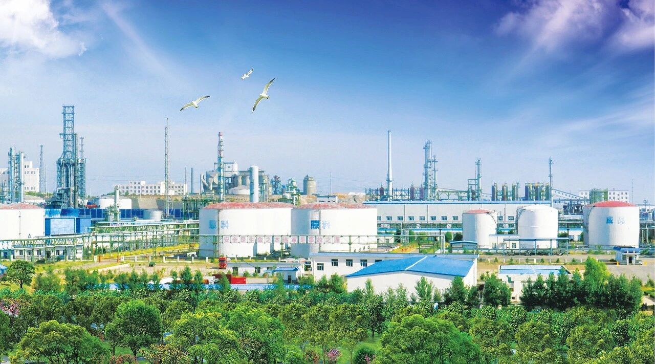 041770165203209522.jpg 微信圖片_2026-02-04_083222_014.jpg